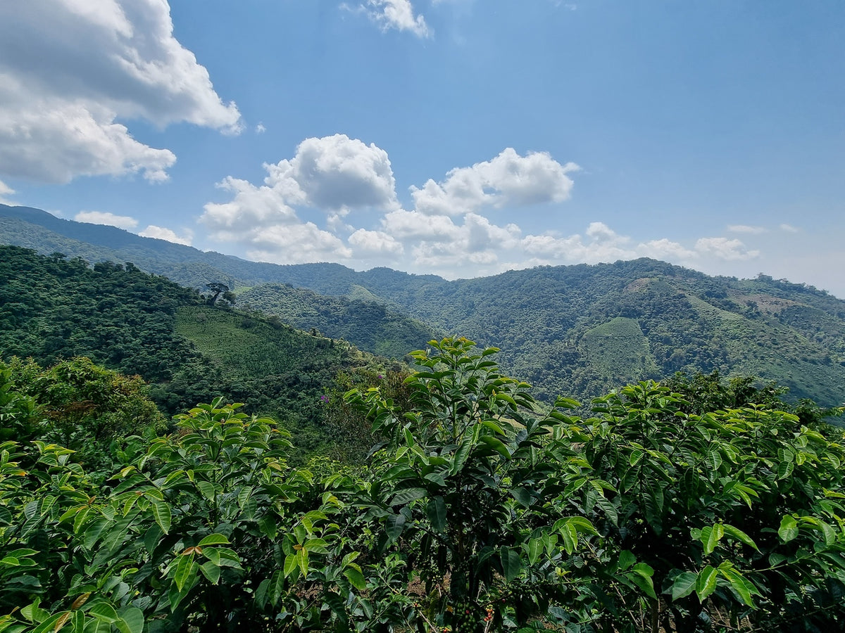 Peru Cajamarca – Javabean
