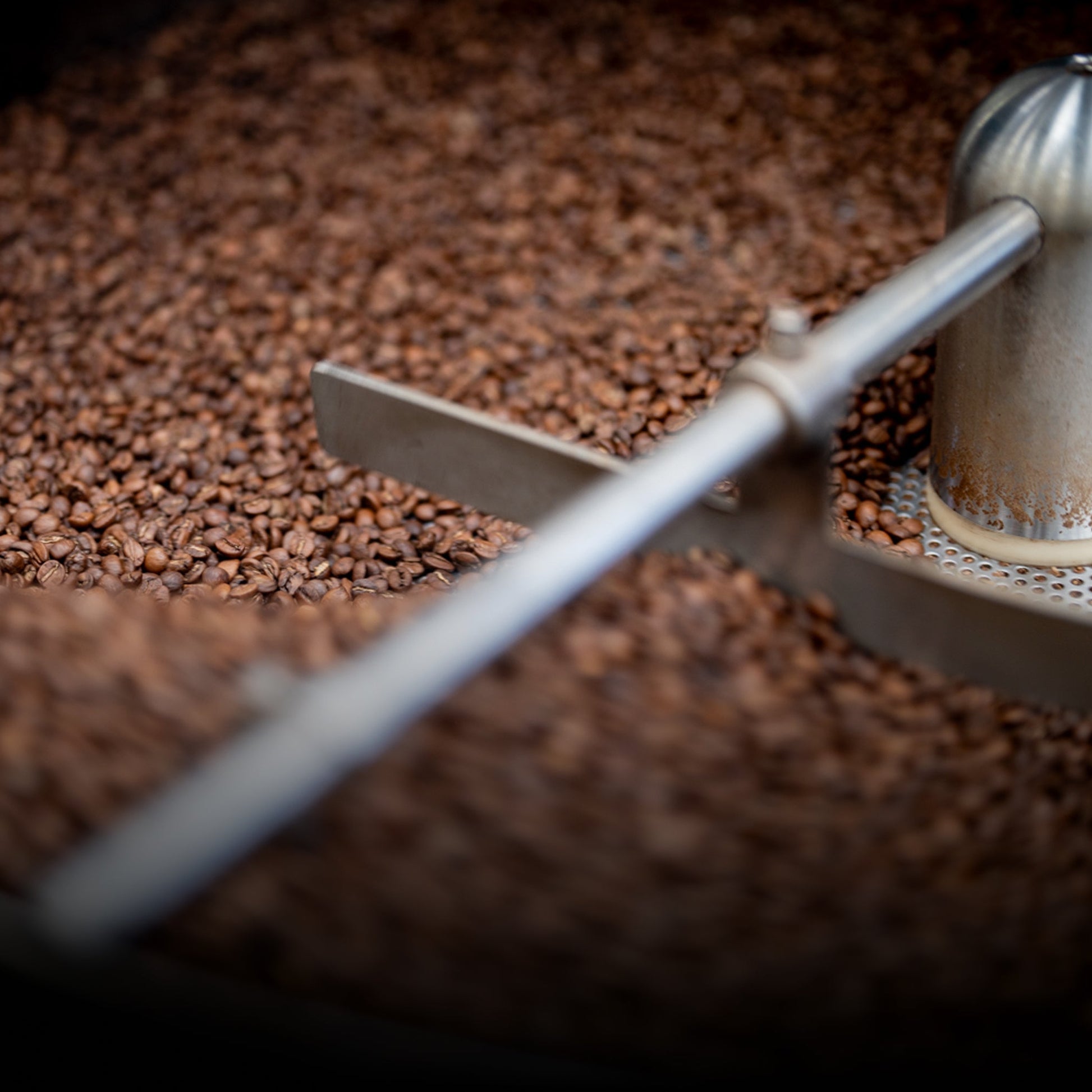 Roaster's Choice