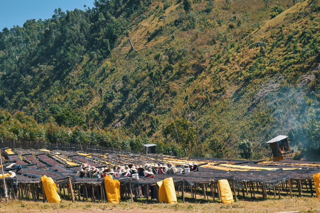 Ethiopia Natural Dur Feres