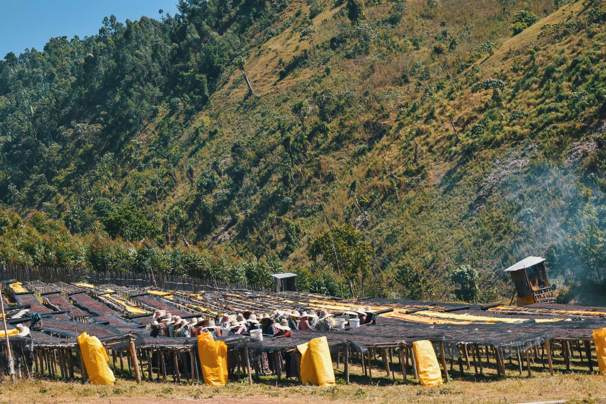 Ethiopia Natural Dur Feres