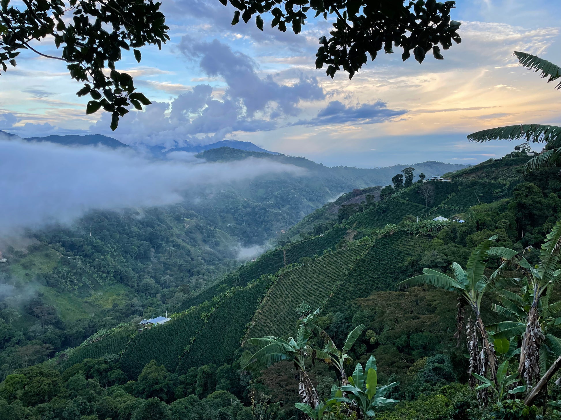 Colombia Las Brisas