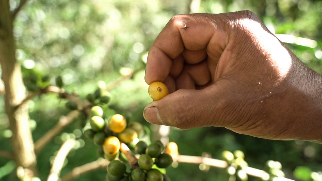 Colombia Inzá