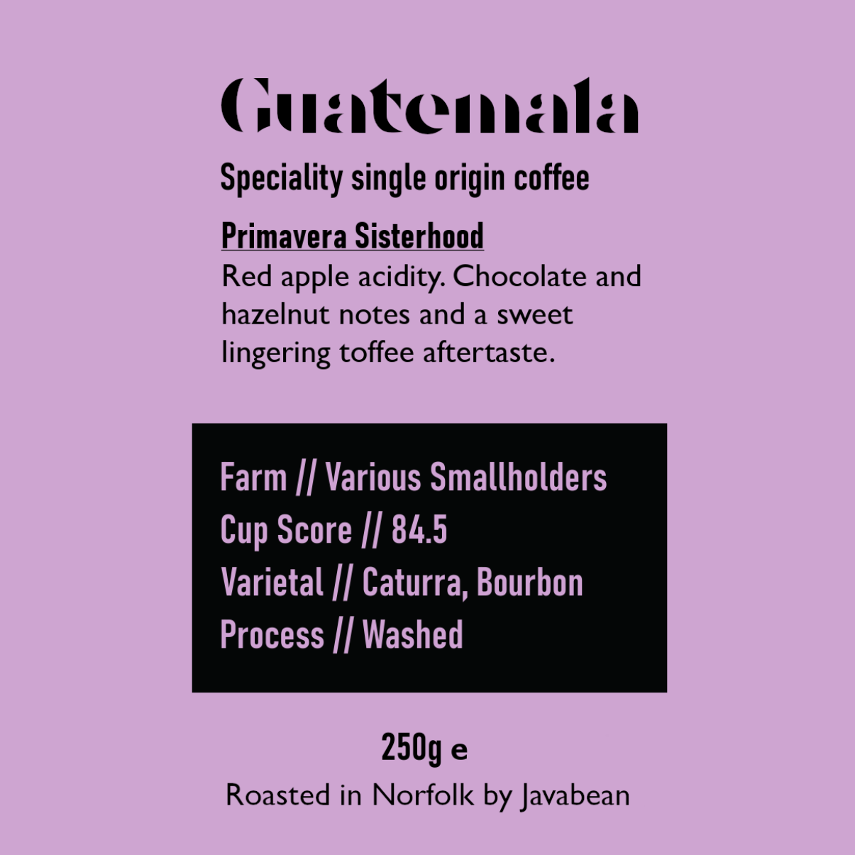 Guatemala Primavera Sisterhood