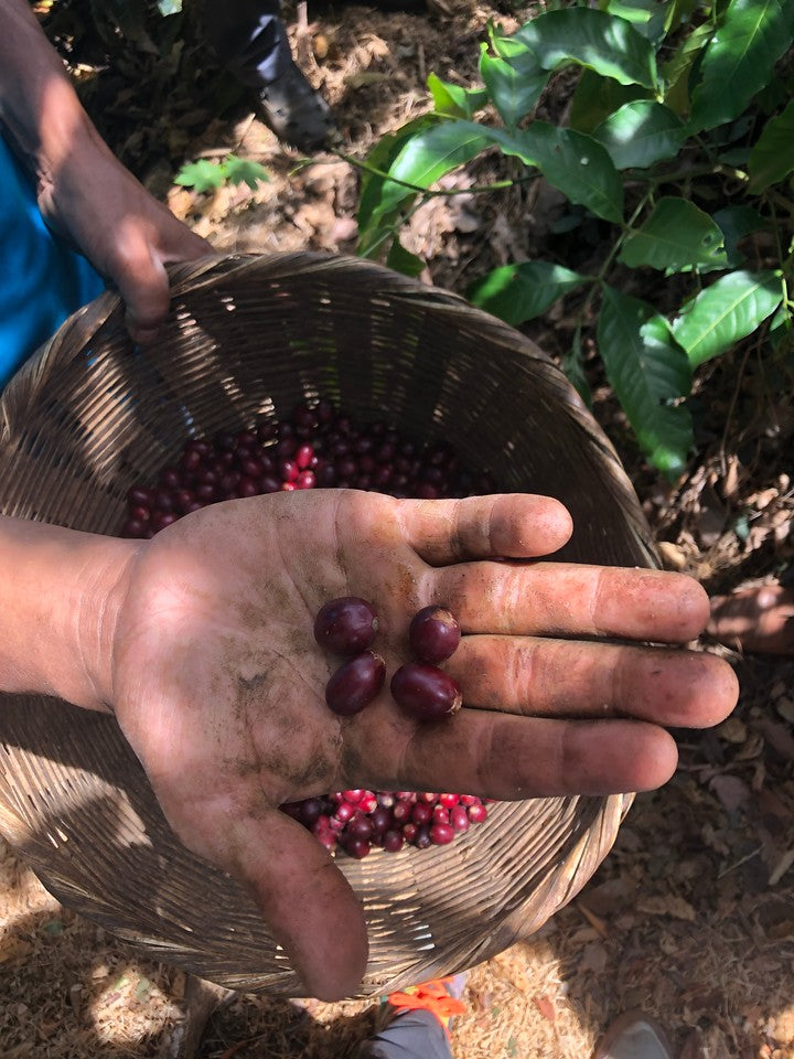 El Salvador William Días