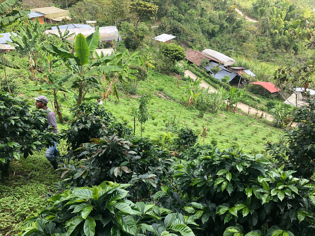 Colombia Inzá