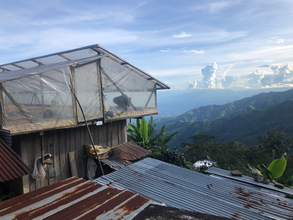 Colombia Las Brisas